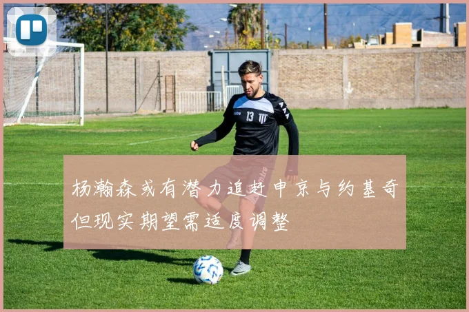 杨瀚森或有潜力追赶申京与约基奇但现实期望需适度调整