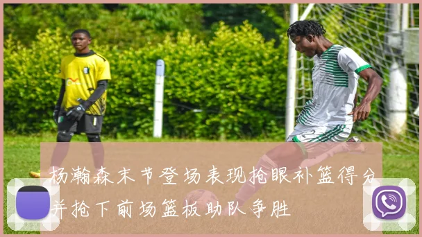 杨瀚森末节登场表现抢眼补篮得分并抢下前场篮板助队争胜