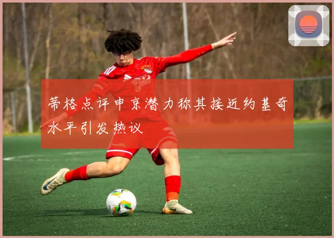 蒂格点评申京潜力称其接近约基奇水平引发热议