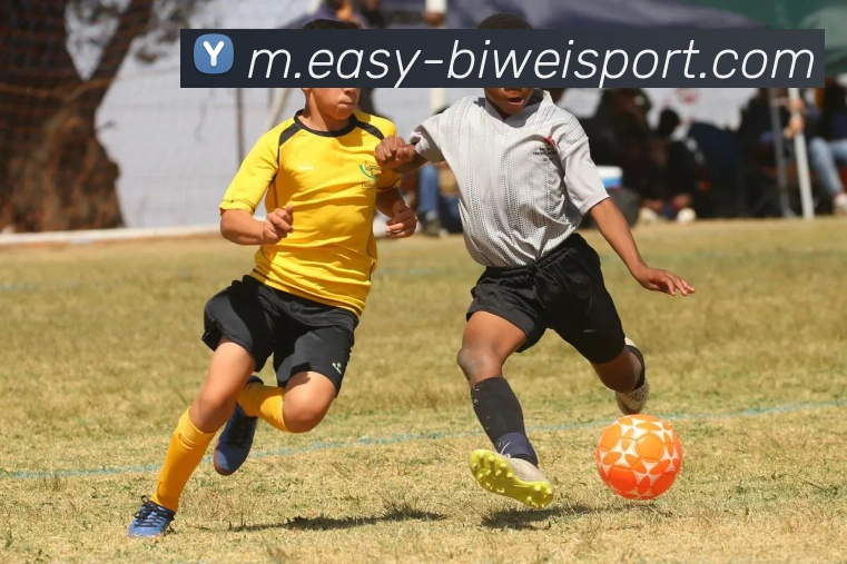 App Interface Preview